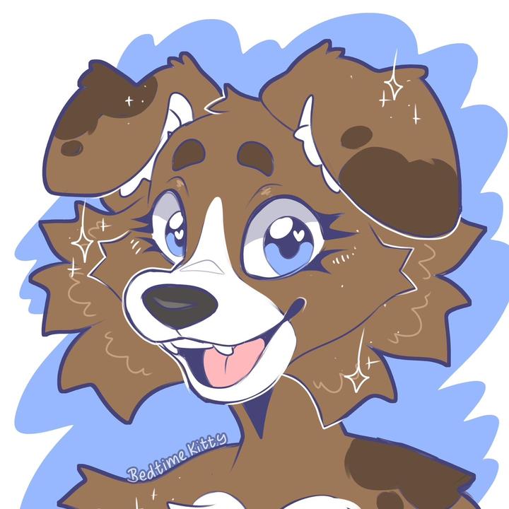 _harpercollie_ avatar